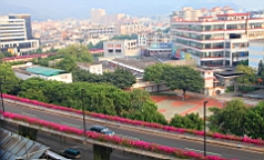 IMG_4248.JPG