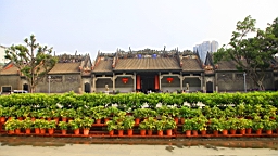 IMG_4250.JPG