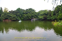 IMG_4306.JPG