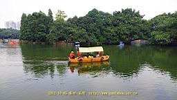 IMG_4310.JPG