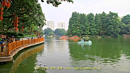 IMG_4314.JPG