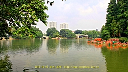 IMG_4316.JPG