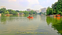 IMG_4318.JPG