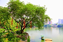 IMG_4320.JPG