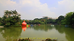 IMG_4321.JPG