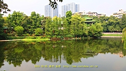IMG_4329.JPG