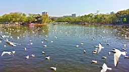 20130302_110702.jpg