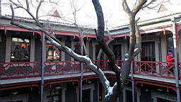 2015-01-285361.JPG