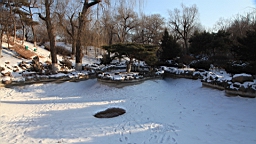 2015-01-285372.JPG