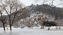 2015-01-295413.JPG