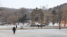 2015-01-295414.JPG