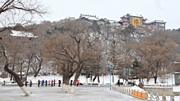 2015-01-295415.JPG