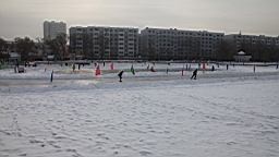 2015-01-295429.JPG