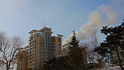 2015-01-295465.JPG
