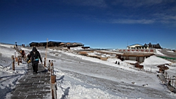 2015-01-305500.JPG