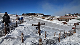 2015-01-305529.JPG