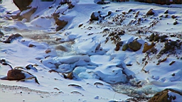 2015-01-305540.JPG
