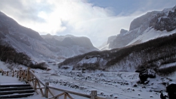 2015-01-305545.JPG