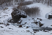 2015-01-305546.JPG