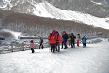 2015-01-305548.JPG