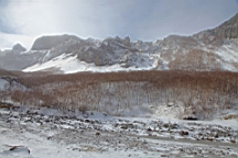 2015-01-305551.JPG