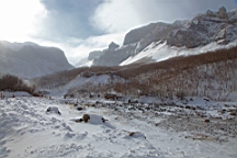 2015-01-305552.JPG