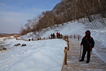 2015-01-305553.JPG
