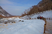 2015-01-305554.JPG