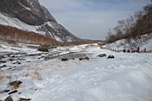 2015-01-305555.JPG