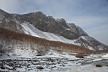 2015-01-305556.JPG