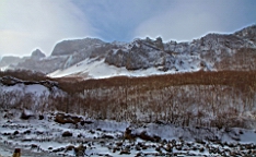 2015-01-305557.JPG