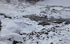 2015-01-305558.JPG
