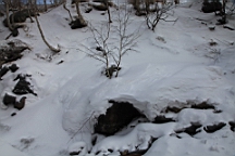 2015-01-305559.JPG