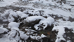 2015-01-305563.JPG