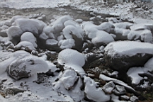 2015-01-305565.JPG