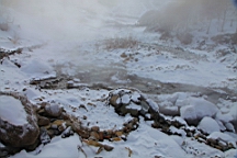 2015-01-305569.JPG