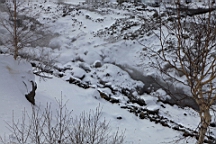 2015-01-305572.JPG