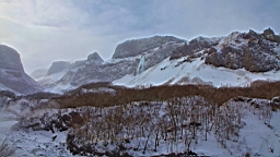 2015-01-305574.JPG
