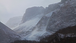 2015-01-305576.JPG