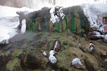 2015-01-305581.JPG