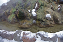 2015-01-305582.JPG