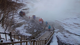 2015-01-305585.JPG