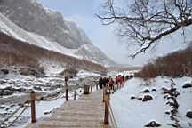 2015-01-305589.JPG