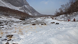 2015-01-305591.JPG