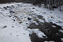 2015-01-305605.JPG