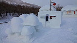 2015-01-305640.JPG