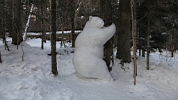 2015-01-305644.JPG