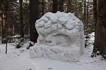 2015-01-305649.JPG