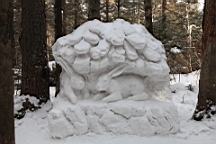 2015-01-305652.JPG