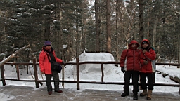 2015-01-305660.JPG